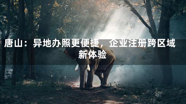 唐山：异地办照更便捷，企业注册跨区域新体验