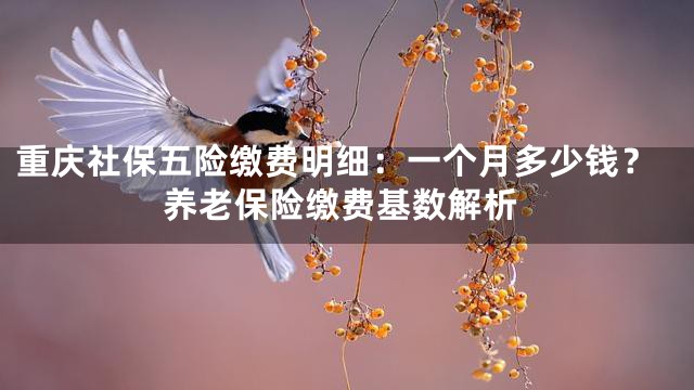 重庆社保五险缴费明细：一个月多少钱？养老保险缴费基数解析