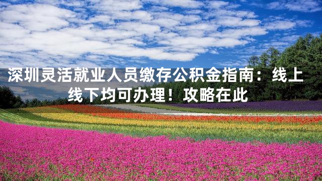 深圳灵活就业人员缴存公积金指南：线上线下均可办理！攻略在此