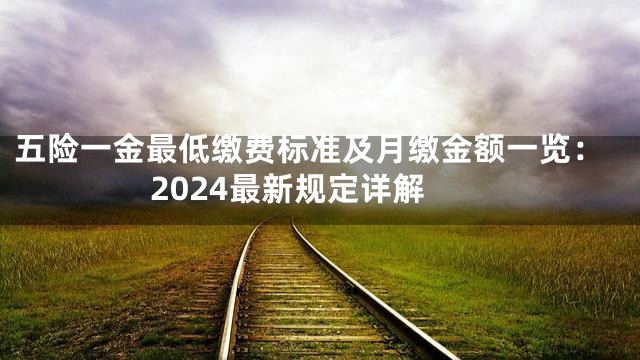 五险一金最低缴费标准及月缴金额一览：2024最新规定详解
