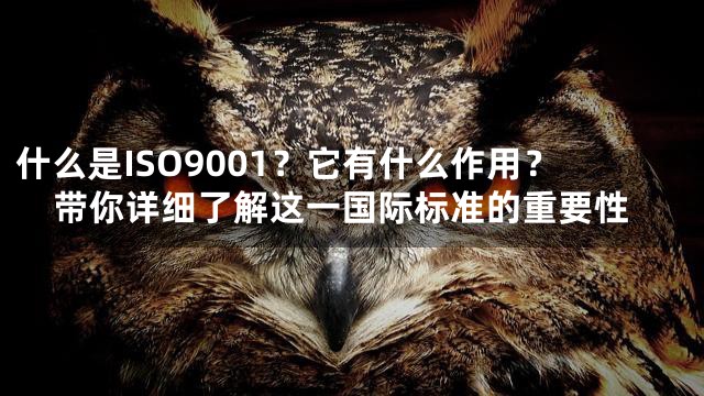 什么是ISO9001？它有什么作用？带你详细了解这一国际标准的重要性