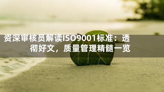 资深审核员解读ISO9001标准：透彻好文，质量管理精髓一览