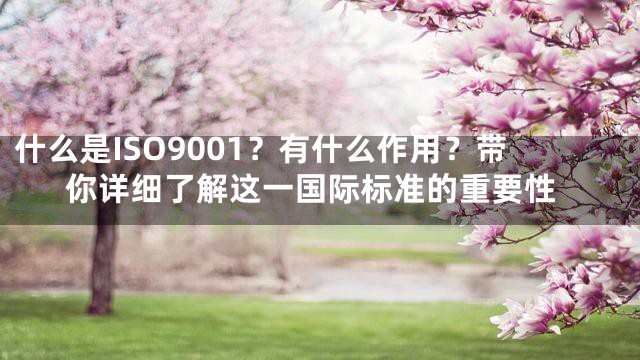 什么是ISO9001？有什么作用？带你详细了解这一国际标准的重要性