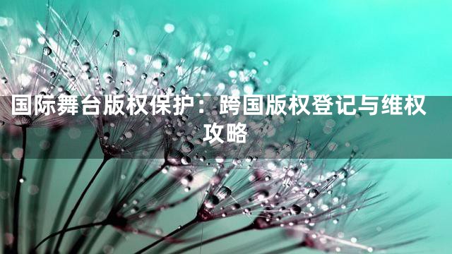 国际舞台版权保护：跨国版权登记与维权攻略