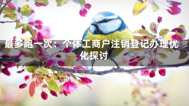 最多跑一次：个体工商户注销登记办理优化探讨