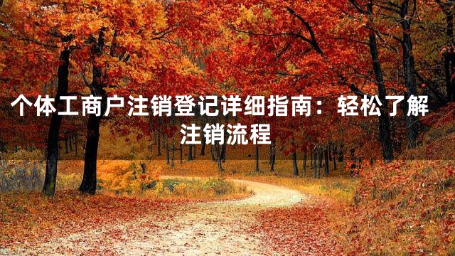 个体工商户注销登记详细指南：轻松了解注销流程