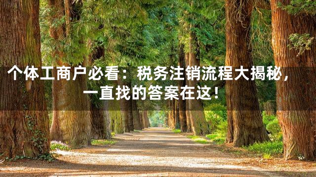 个体工商户必看：税务注销流程大揭秘，一直找的答案在这！