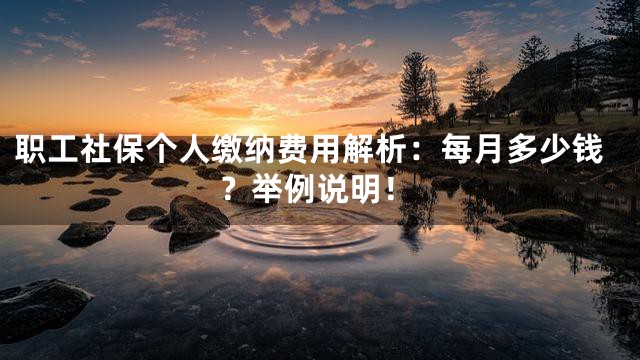 职工社保个人缴纳费用解析：每月多少钱？举例说明！