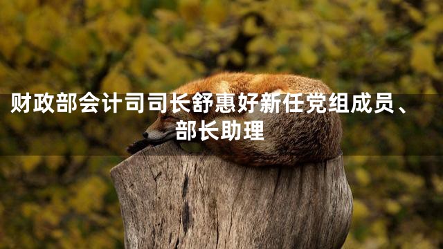 财政部会计司司长舒惠好新任党组成员、部长助理