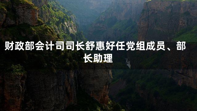 财政部会计司司长舒惠好任党组成员、部长助理