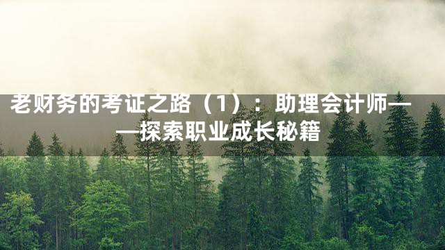 老财务的考证之路（1）：助理会计师——探索职业成长秘籍