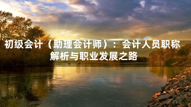 初级会计（助理会计师）：会计人员职称解析与职业发展之路