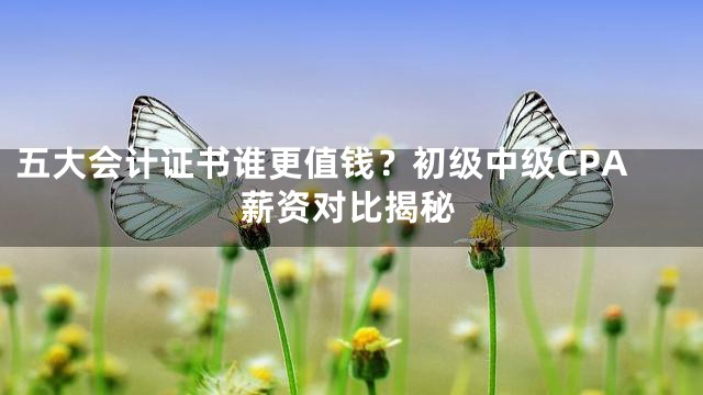 五大会计证书谁更值钱？初级中级CPA薪资对比揭秘