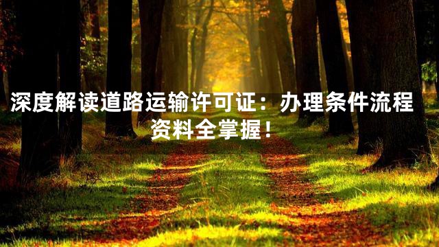 深度解读道路运输许可证：办理条件流程资料全掌握！