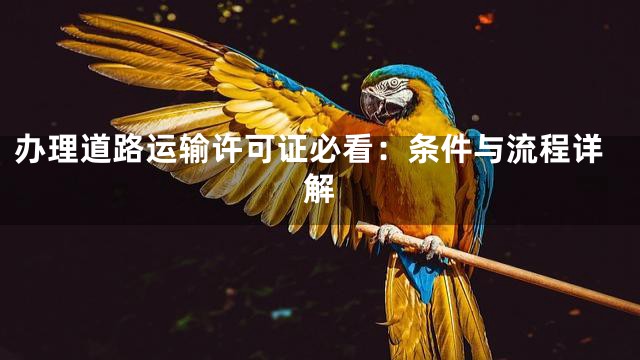 办理道路运输许可证必看：条件与流程详解