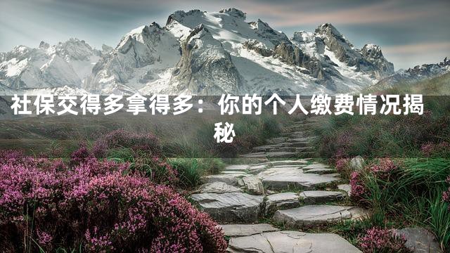 社保交得多拿得多：你的个人缴费情况揭秘