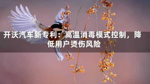 开沃汽车新专利：高温消毒模式控制，降低用户烫伤风险