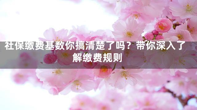 社保缴费基数你搞清楚了吗？带你深入了解缴费规则