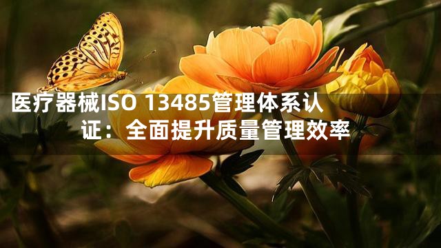 医疗器械ISO 13485管理体系认证：全面提升质量管理效率