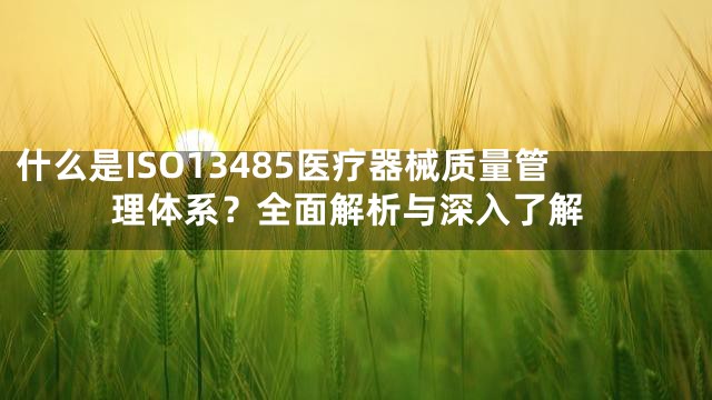什么是ISO13485医疗器械质量管理体系？全面解析与深入了解