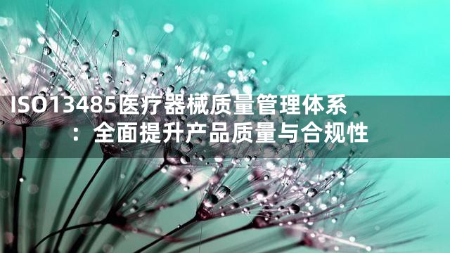 ISO13485医疗器械质量管理体系：全面提升产品质量与合规性