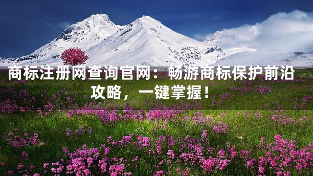 商标注册网查询官网：畅游商标保护前沿攻略，一键掌握！