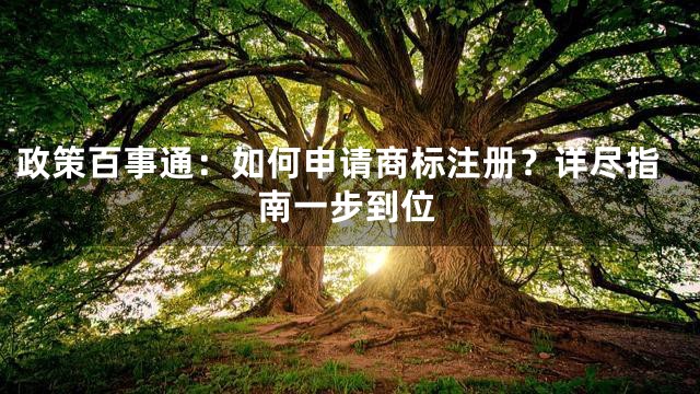 政策百事通：如何申请商标注册？详尽指南一步到位