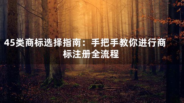 45类商标选择指南：手把手教你进行商标注册全流程