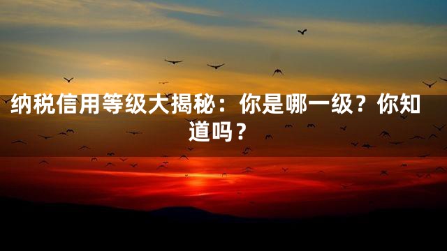 纳税信用等级大揭秘：你是哪一级？你知道吗？