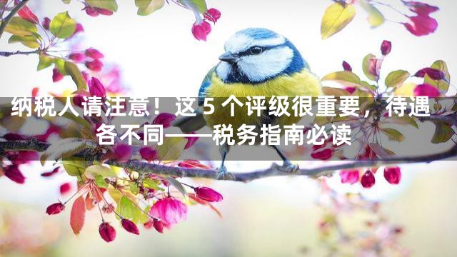 纳税人请注意！这５个评级很重要，待遇各不同——税务指南必读