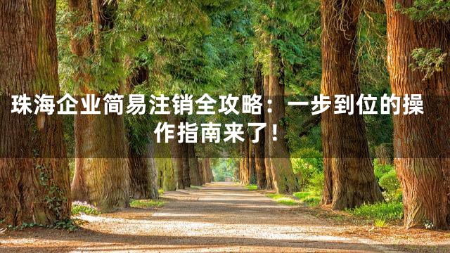 珠海企业简易注销全攻略：一步到位的操作指南来了！