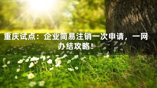 重庆试点：企业简易注销一次申请，一网办结攻略！