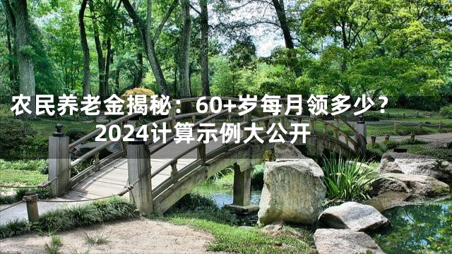 农民养老金揭秘：60+岁每月领多少？2024计算示例大公开