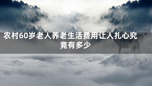 农村60岁老人养老生活费用让人扎心究竟有多少