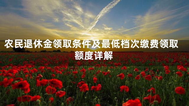 农民退休金领取条件及最低档次缴费领取额度详解