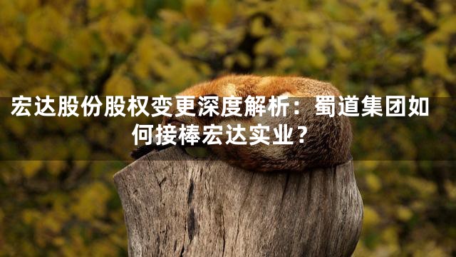 宏达股份股权变更深度解析：蜀道集团如何接棒宏达实业？