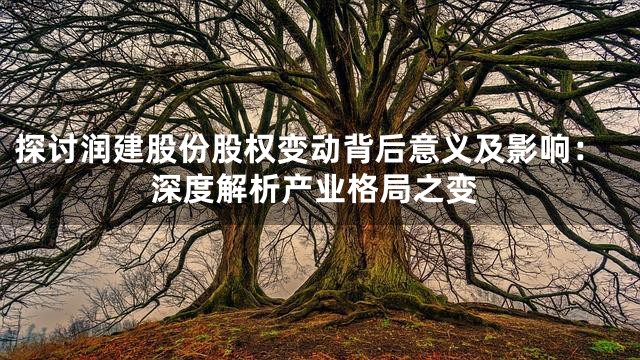 探讨润建股份股权变动背后意义及影响：深度解析产业格局之变