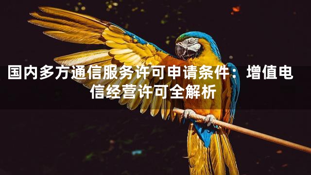 国内多方通信服务许可申请条件：增值电信经营许可全解析