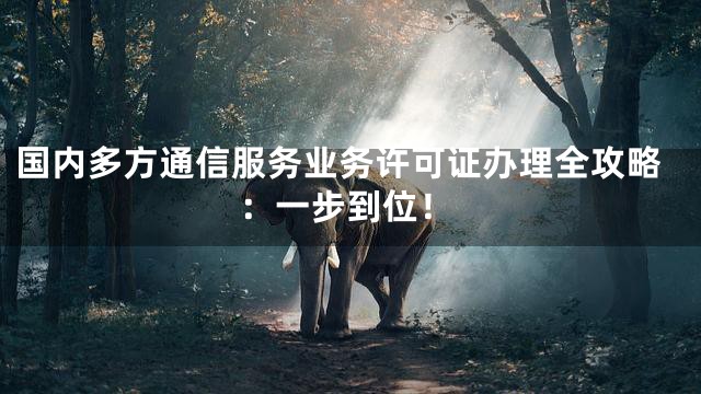 国内多方通信服务业务许可证办理全攻略：一步到位！