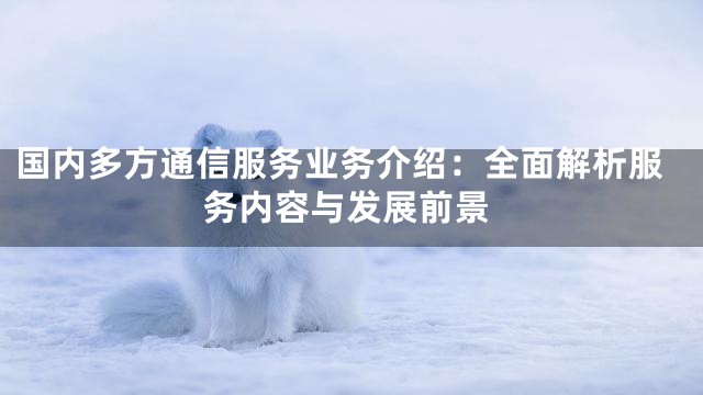 国内多方通信服务业务介绍：全面解析服务内容与发展前景