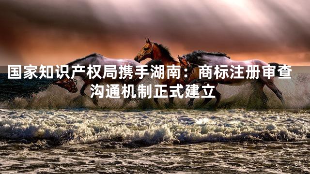 国家知识产权局携手湖南：商标注册审查沟通机制正式建立