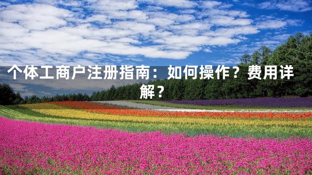 个体工商户注册指南：如何操作？费用详解？