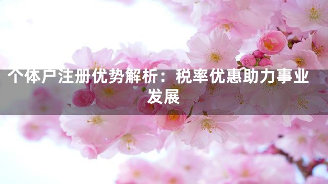个体户注册优势解析：税率优惠助力事业发展