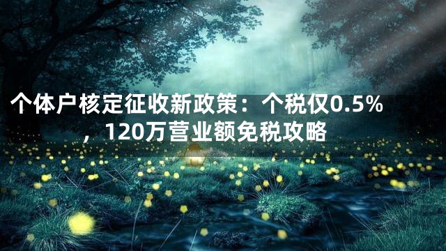 个体户核定征收新政策：个税仅0.5%，120万营业额免税攻略