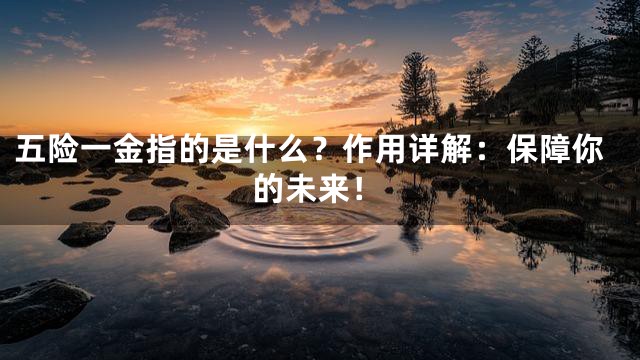 五险一金指的是什么？作用详解：保障你的未来！