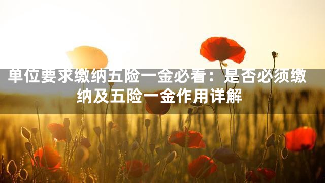 单位要求缴纳五险一金必看：是否必须缴纳及五险一金作用详解