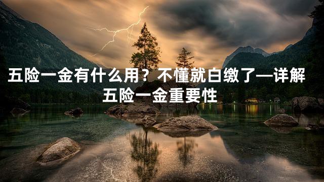 五险一金有什么用？不懂就白缴了—详解五险一金重要性