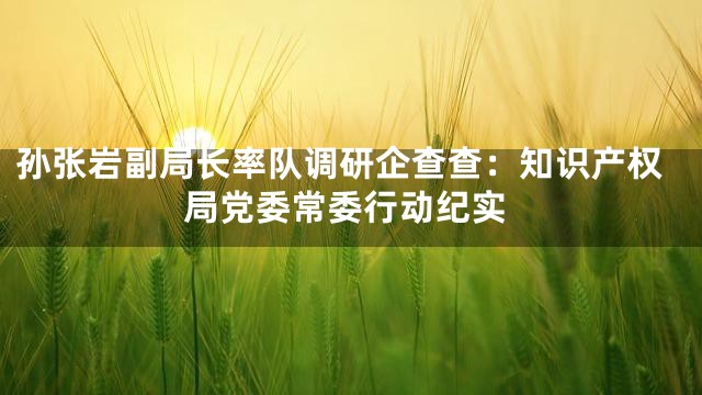 孙张岩副局长率队调研企查查：知识产权局党委常委行动纪实