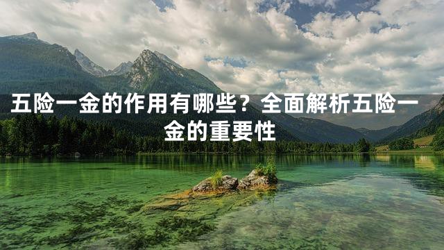 五险一金的作用有哪些？全面解析五险一金的重要性