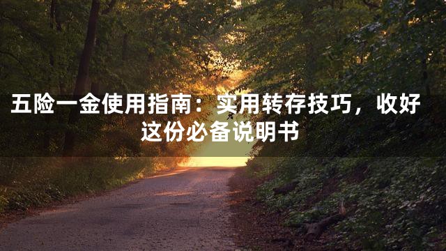 五险一金使用指南：实用转存技巧，收好这份必备说明书